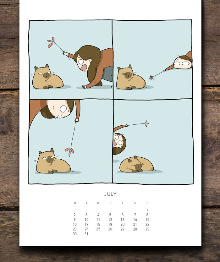 Cats Wall Calendar 2018