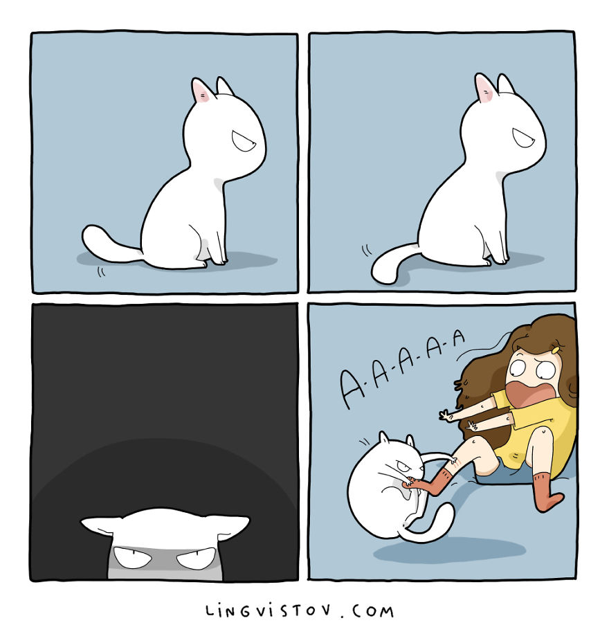 Comics About Life With A Cat
