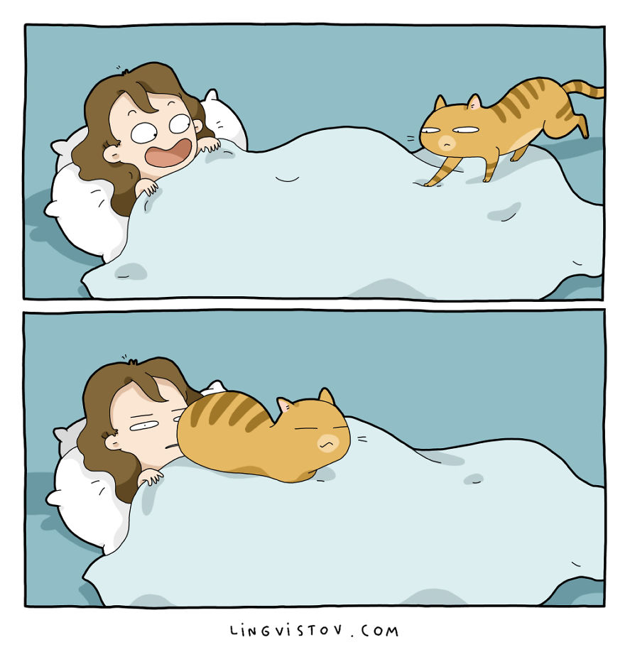 Comics About Life With A Cat