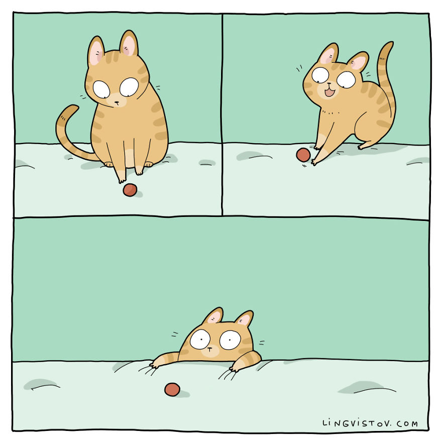 Comics About Life With A Cat