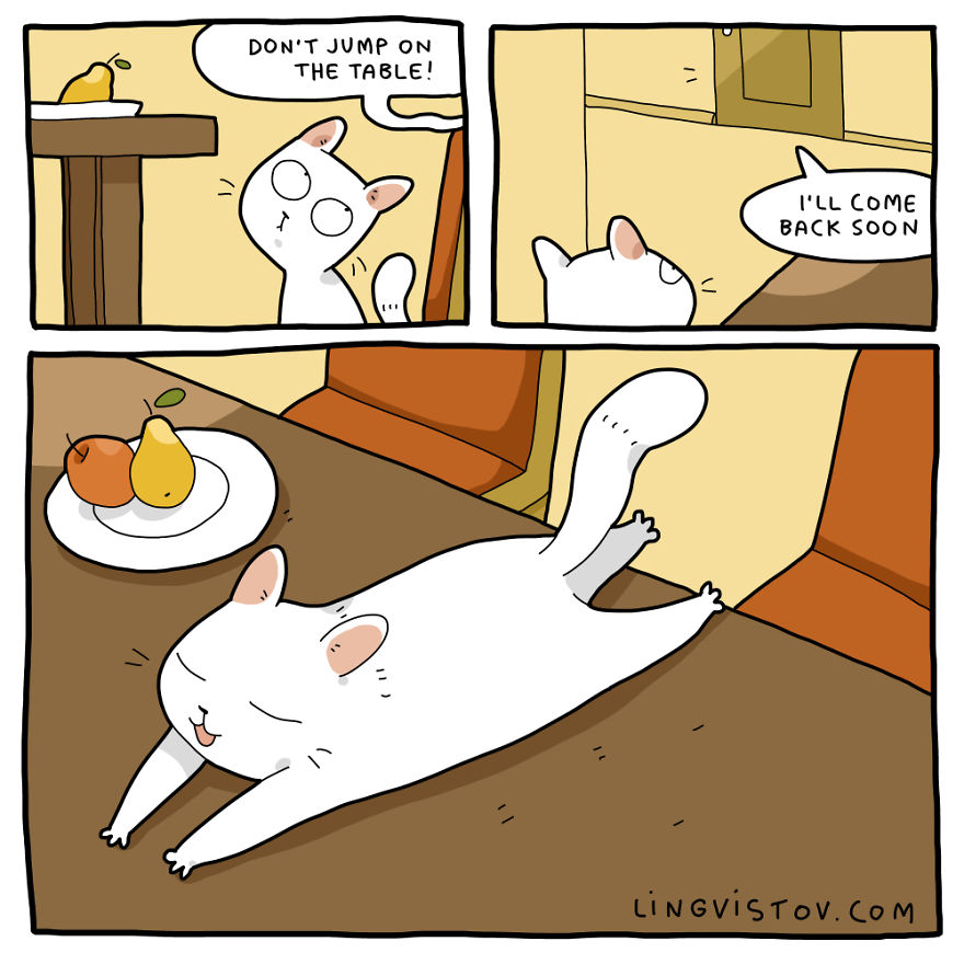 Comics About Life With A Cat