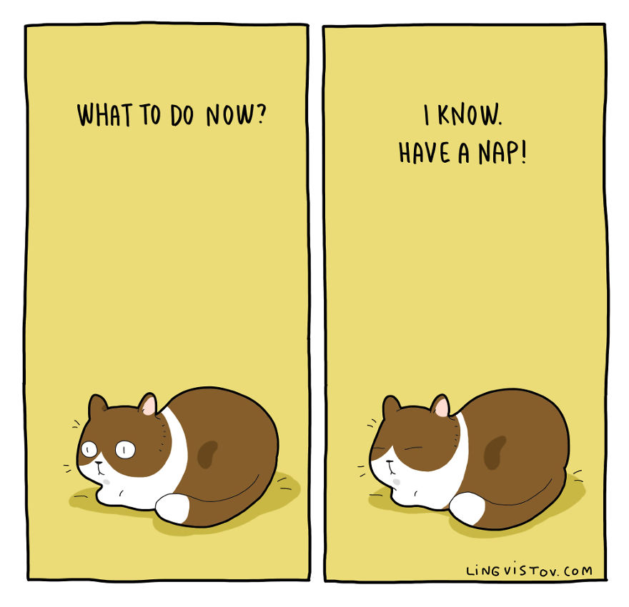 Comics About Life With A Cat