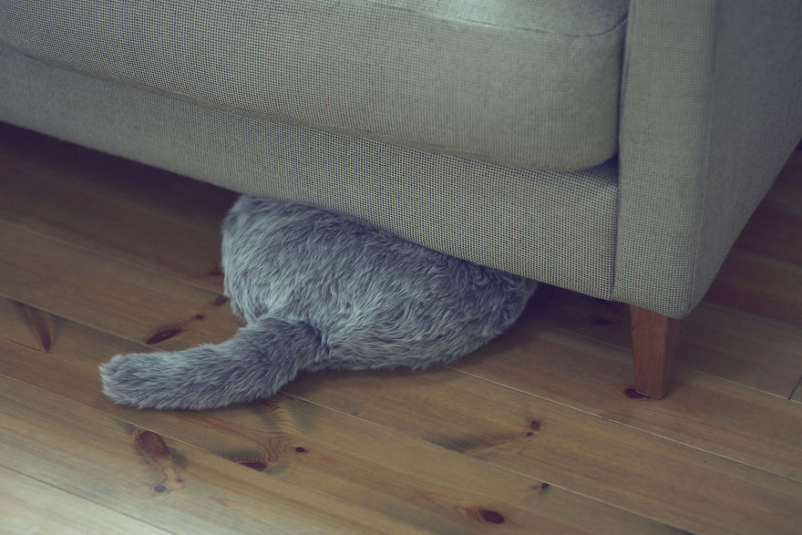 This Cat-Inspired Robot From Japan Can Help To Cope With Anxiety This Cat-Inspired Robot From Japan Can Help To Cope With Anxiety