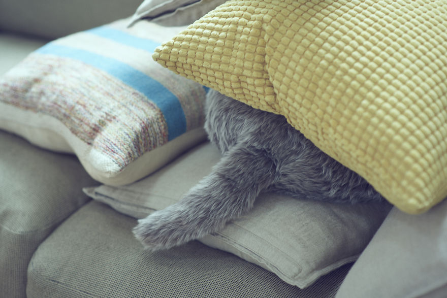 This Cat-Inspired Robot From Japan Can Help To Cope With Anxiety
