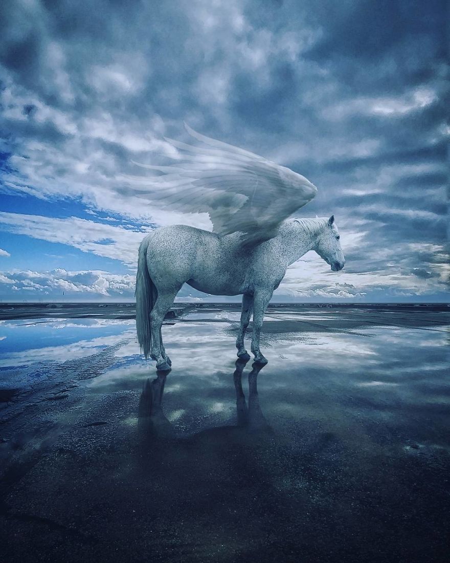 I Took Photos Of My Family And Digitally Edited Them Into A Crazy Fantasy Land