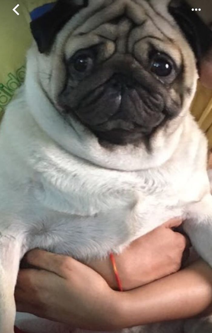 Listening To Others ...