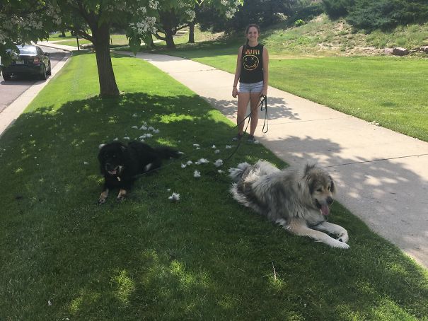 We Are Done Walking For The Day. You May Go Now.