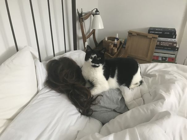 Cat Nap. @thislittlecorner