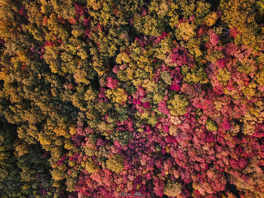 I Spent My Autumn Days Capturing The Beauty Of Hungary's Nature