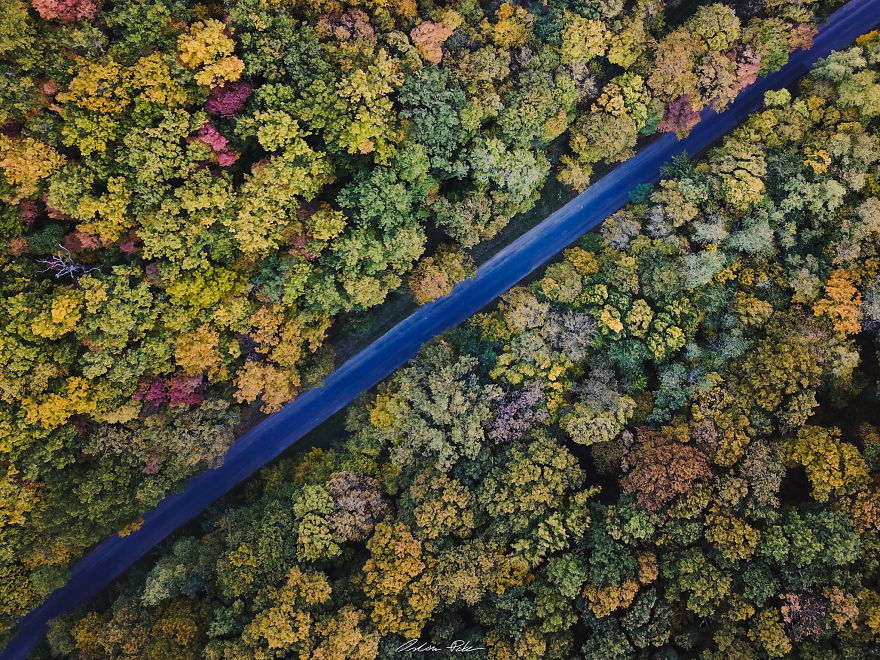 I Spent My Autumn Days Capturing The Beauty Of Hungary's Nature