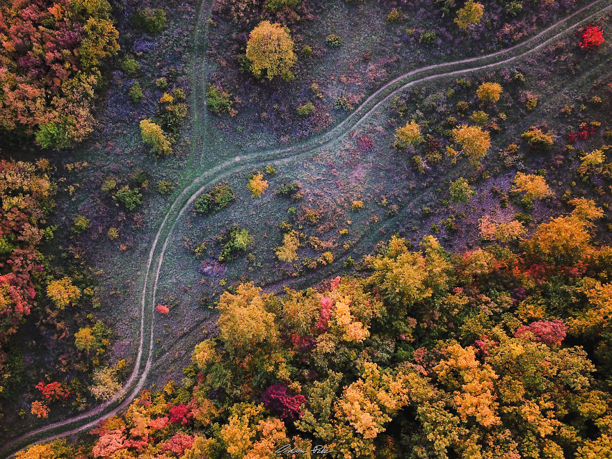 I Spent My Autumn Days Capturing The Beauty Of Hungary's Nature