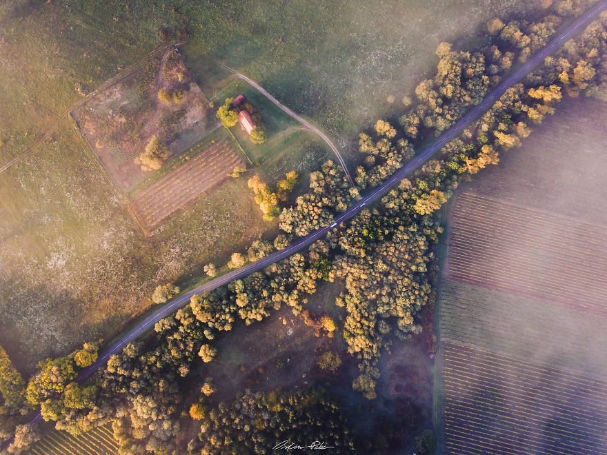 I Spent My Autumn Days Capturing The Beauty Of Hungary's Nature