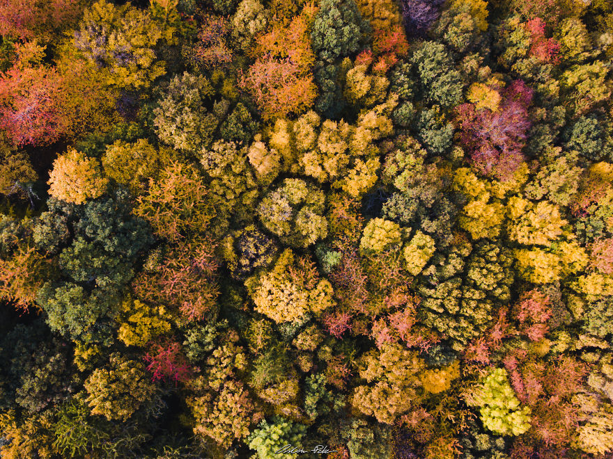 I Spent My Autumn Days Capturing The Beauty Of Hungary's Nature