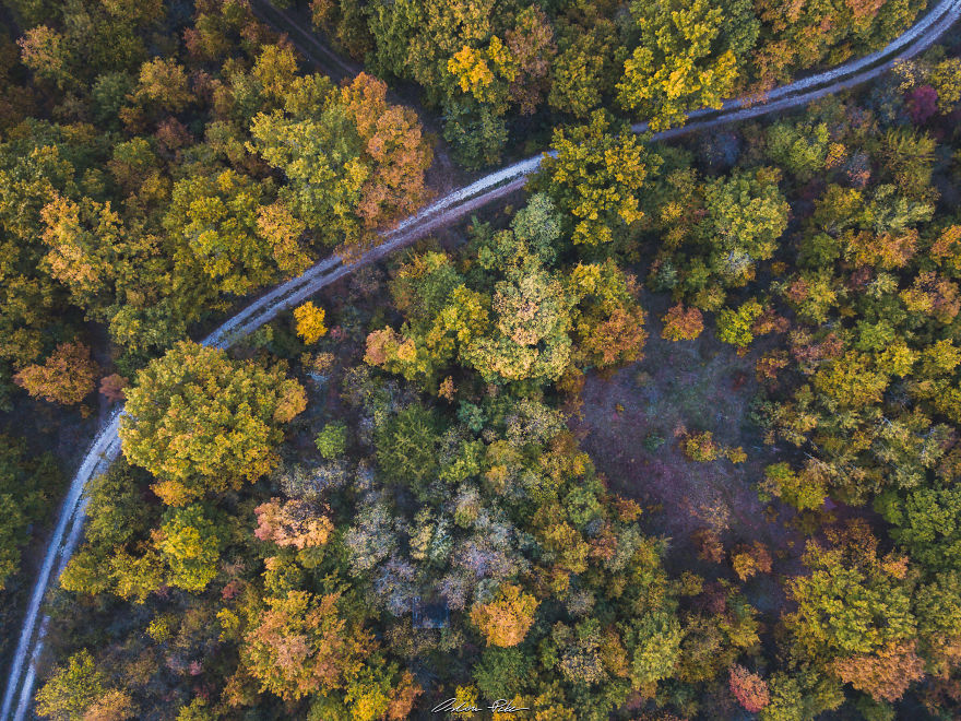 I Spent My Autumn Days Capturing The Beauty Of Hungary's Nature