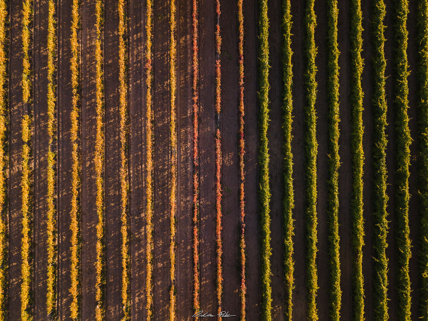 I Spent My Autumn Days Capturing The Beauty Of Hungary's Nature