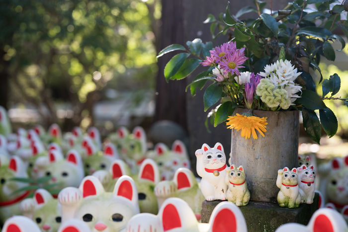 My Report From The Lucky Cats’ Homeland