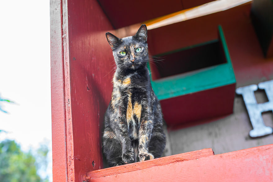 Heaven Is A Place On Earth, And I Went There Heaven Is A Place On Earth, And I Went There