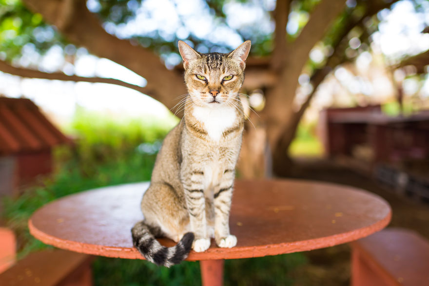 Heaven Is A Place On Earth, And I Went There Heaven Is A Place On Earth, And I Went There