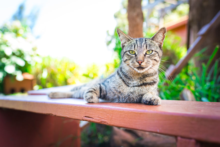 Heaven Is A Place On Earth, And I Went There