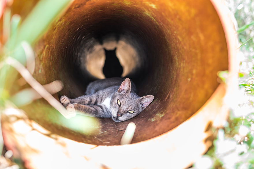 Heaven Is A Place On Earth, And I Went There Heaven Is A Place On Earth, And I Went There