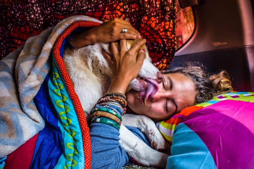 Meet Ginger, A Scared Security Dog From Zambia Who Became A World Traveler Meet Ginger, A Scared Security Dog From Zambia Who Became A World Traveler