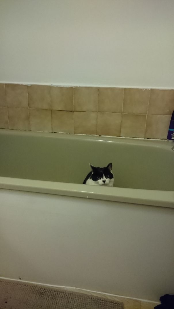 No, You Can't Wash This Morning. Sorry!