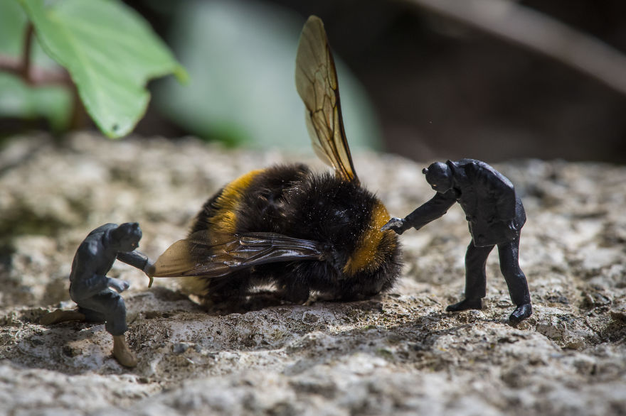 Give Me Your Honey B*tch!