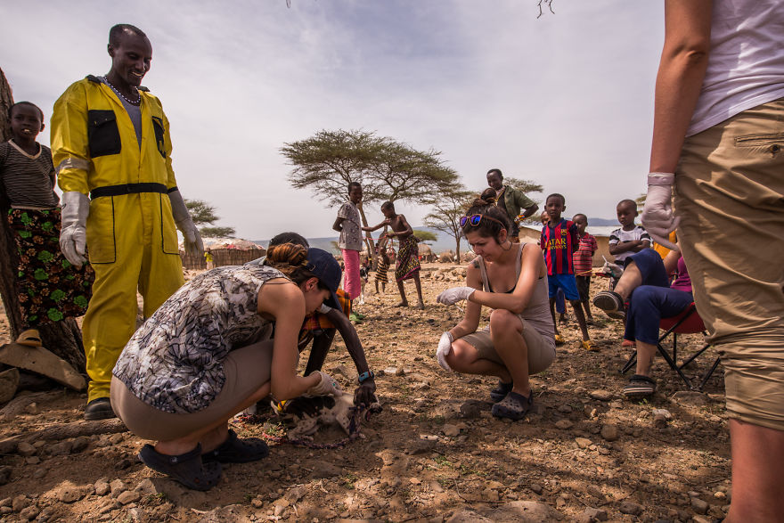 What A Veterinary Rabies Vaccination Program Looks Like In Africa