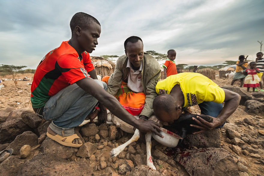 What A Veterinary Rabies Vaccination Program Looks Like In Africa What A Veterinary Rabies Vaccination Program Looks Like In Africa