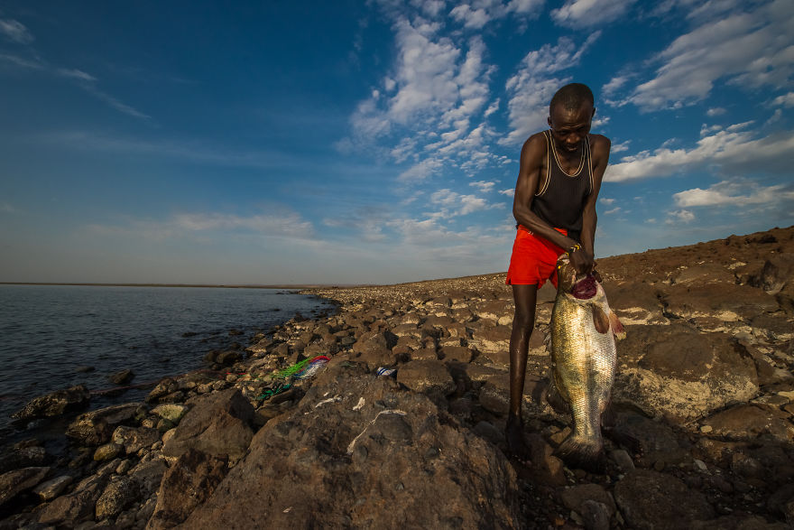 What A Veterinary Rabies Vaccination Program Looks Like In Africa