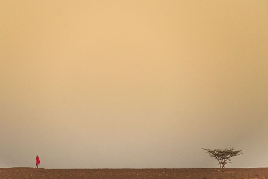 What A Veterinary Rabies Vaccination Program Looks Like In Africa What A Veterinary Rabies Vaccination Program Looks Like In Africa