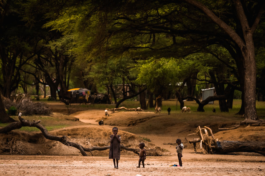 What A Veterinary Rabies Vaccination Program Looks Like In Africa What A Veterinary Rabies Vaccination Program Looks Like In Africa