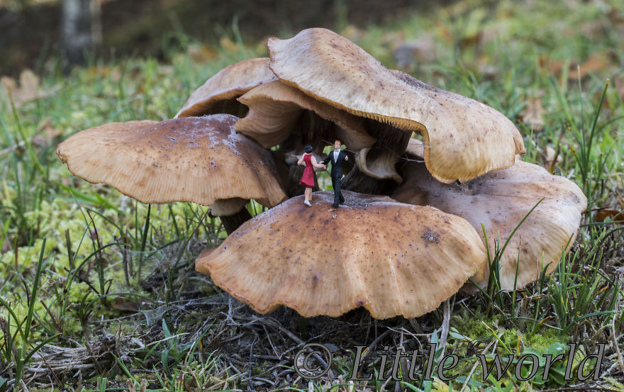 Dancing On The Ceiling (Lionel Ritchie)