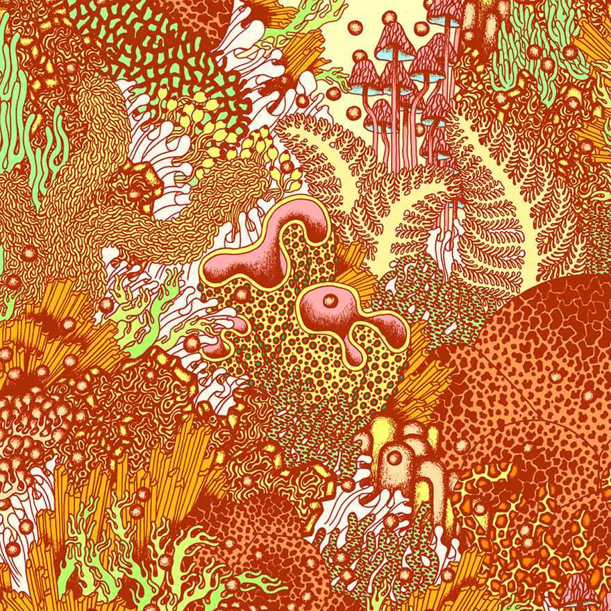 I Create Colorful Detailed Ecosystems I Create Colorful Detailed Ecosystems