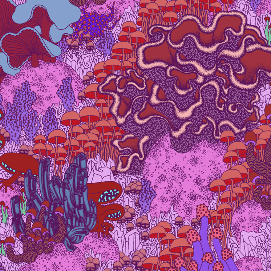 I Create Colorful Detailed Ecosystems I Create Colorful Detailed Ecosystems