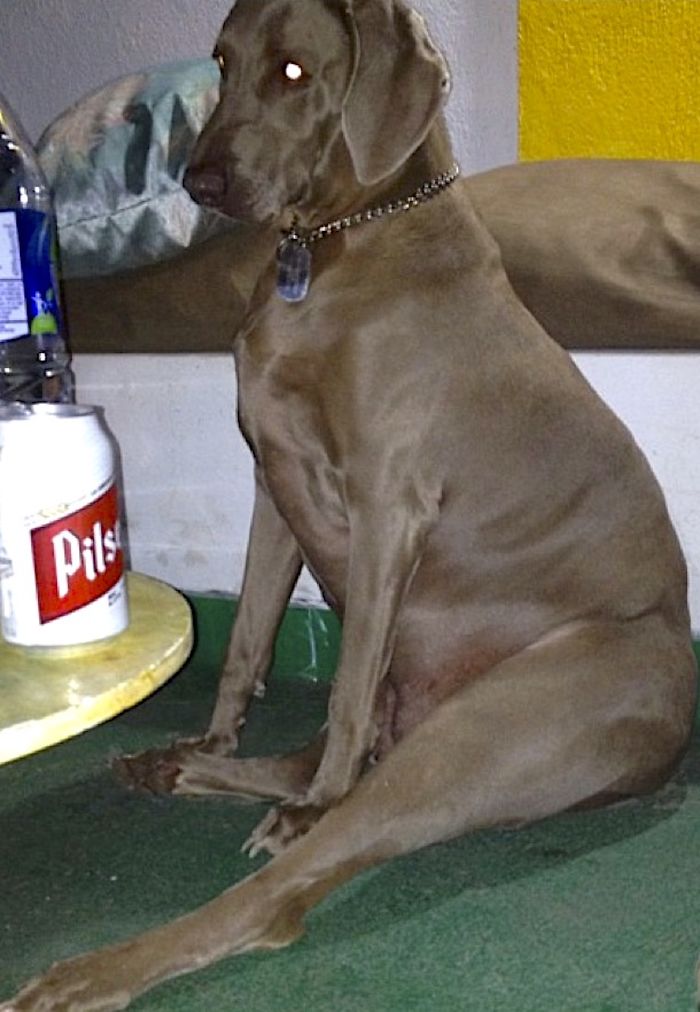 Do I Look Fat Sitting Like This