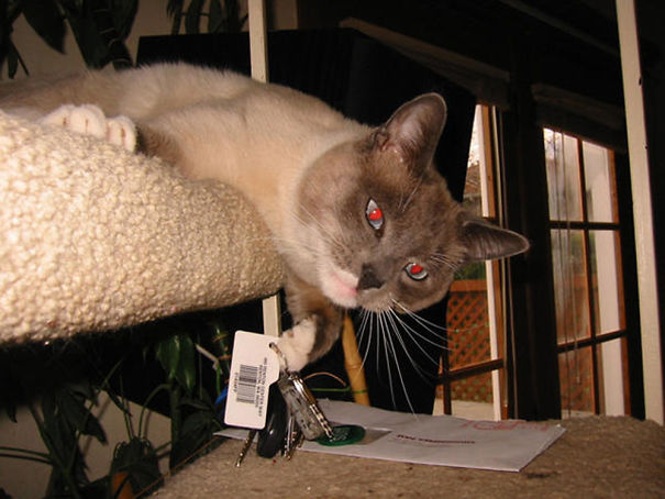 I Have No Idea Why You Keep Losing You Car Keys!