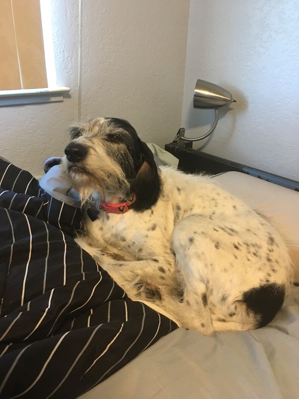 About To Take A Nap And I Walk Into My Room To This