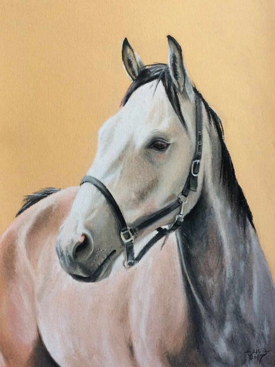 Estonian Artist Captures Personalities Of Horses With Her Realistic Hand-Drawn Art Estonian Artist Captures Personalities Of Horses With Her Realistic Hand-Drawn Art