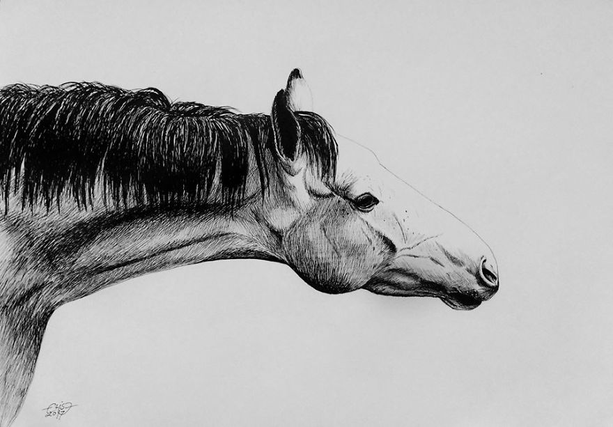 Estonian Artist Captures Personalities Of Horses With Her Realistic Hand-Drawn Art Estonian Artist Captures Personalities Of Horses With Her Realistic Hand-Drawn Art