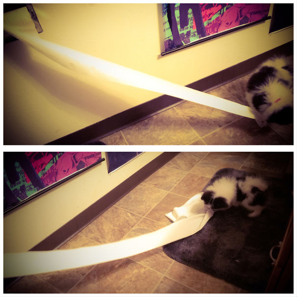 When Foster Helps You Out In The Bathroom