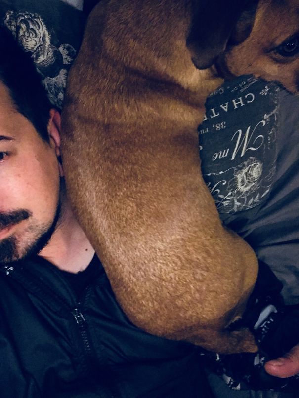 Apparently I’m More Comfortable Than The Mountain Of Pillows I’ve Put Beside Me For Her.