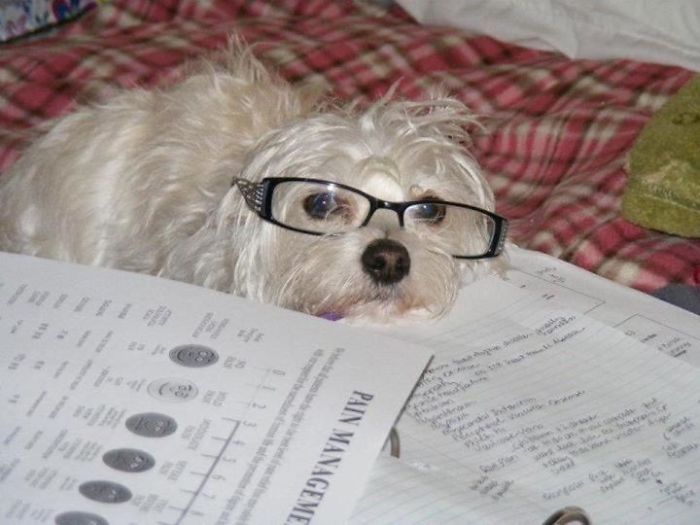 This Midterm Has Me So Stressed Out!