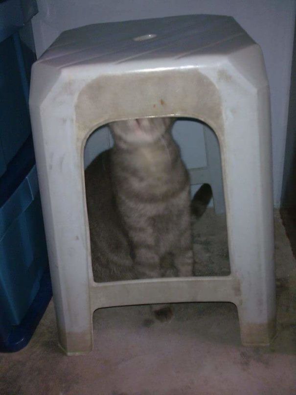 You Can't See Me,you Can't See Me 😜