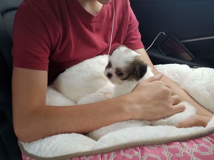 The Day We Welcomed Our Savannah Banana Into Our Lives. She Completes Our Family Perfectly♡