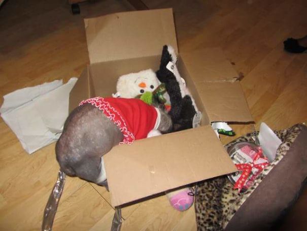 I Know There Is Something In Here For Me.