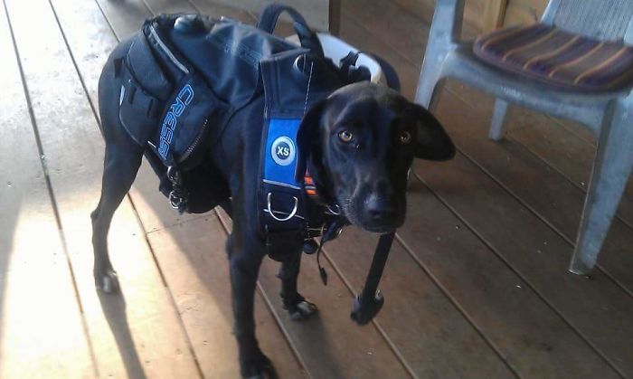 You Promise They'll Be Catfish To Chase Down Their, Right?!