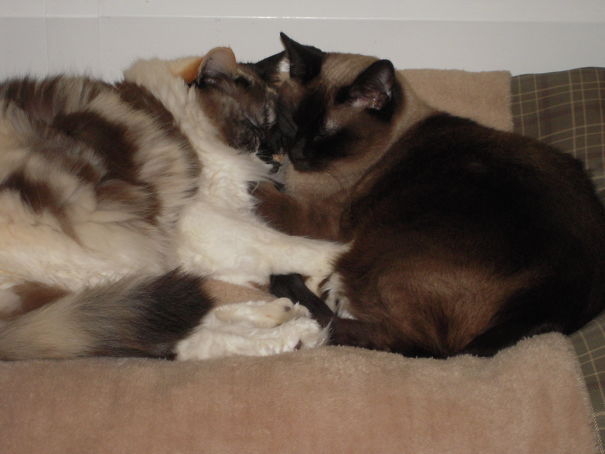 We Are Not Getting Up!