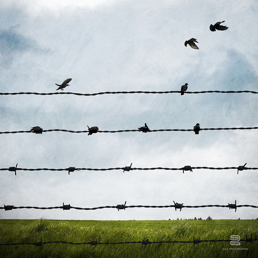 I Tell Forgotten Tales Through Conceptual Images