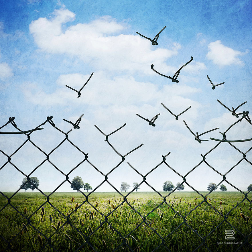 I Tell Forgotten Tales Through Conceptual Images